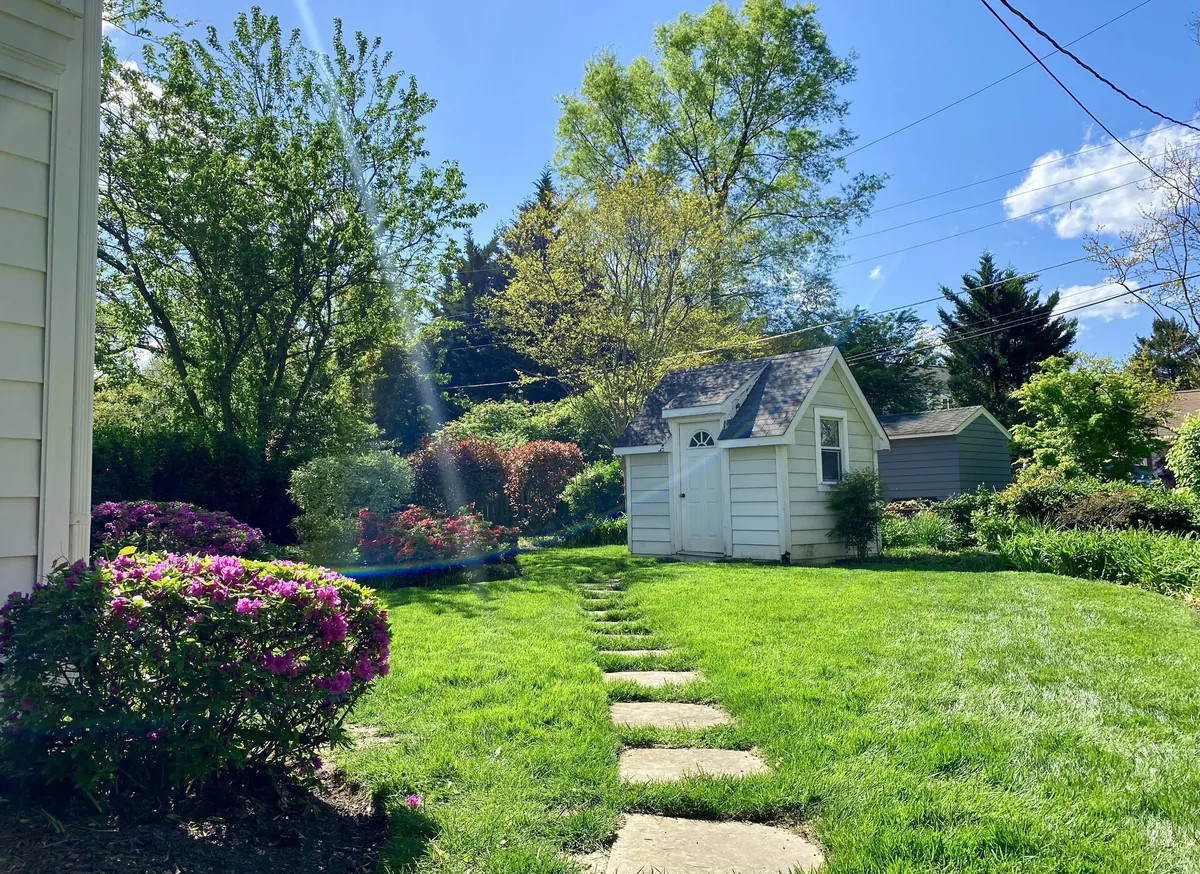 Lawn Maintenance